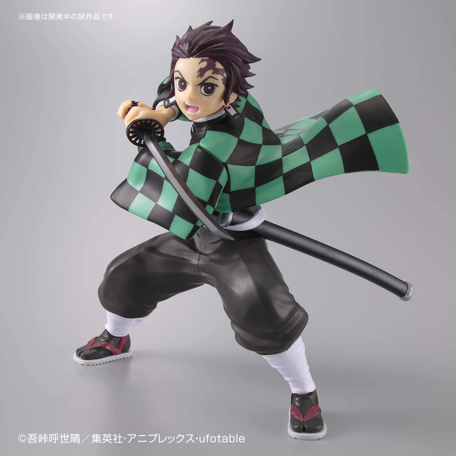 Kimetsu Models Tanjiro Kamado Plastic Model 