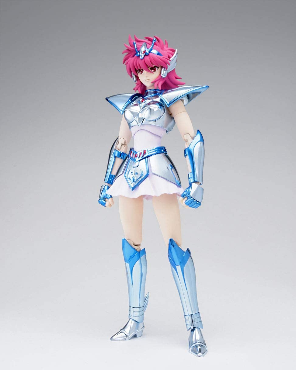 Saint Cloth Myth Shouko Equuleus 