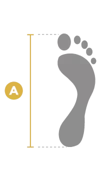 Pasted Image