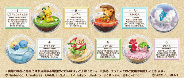 Pokemon Terrarium Collection 11 6Pack BOX (CANDY TOY)