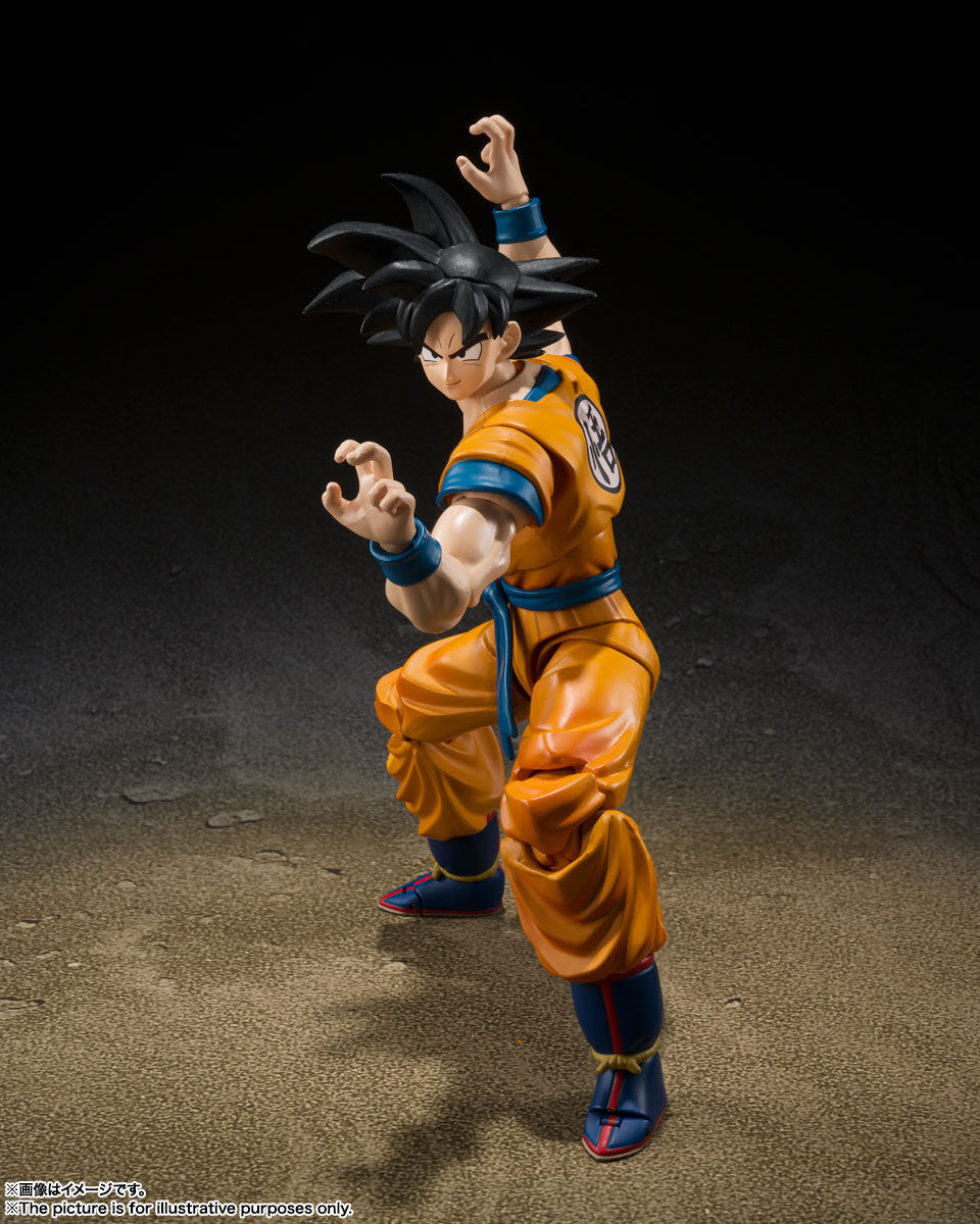 SH.Figuarts 