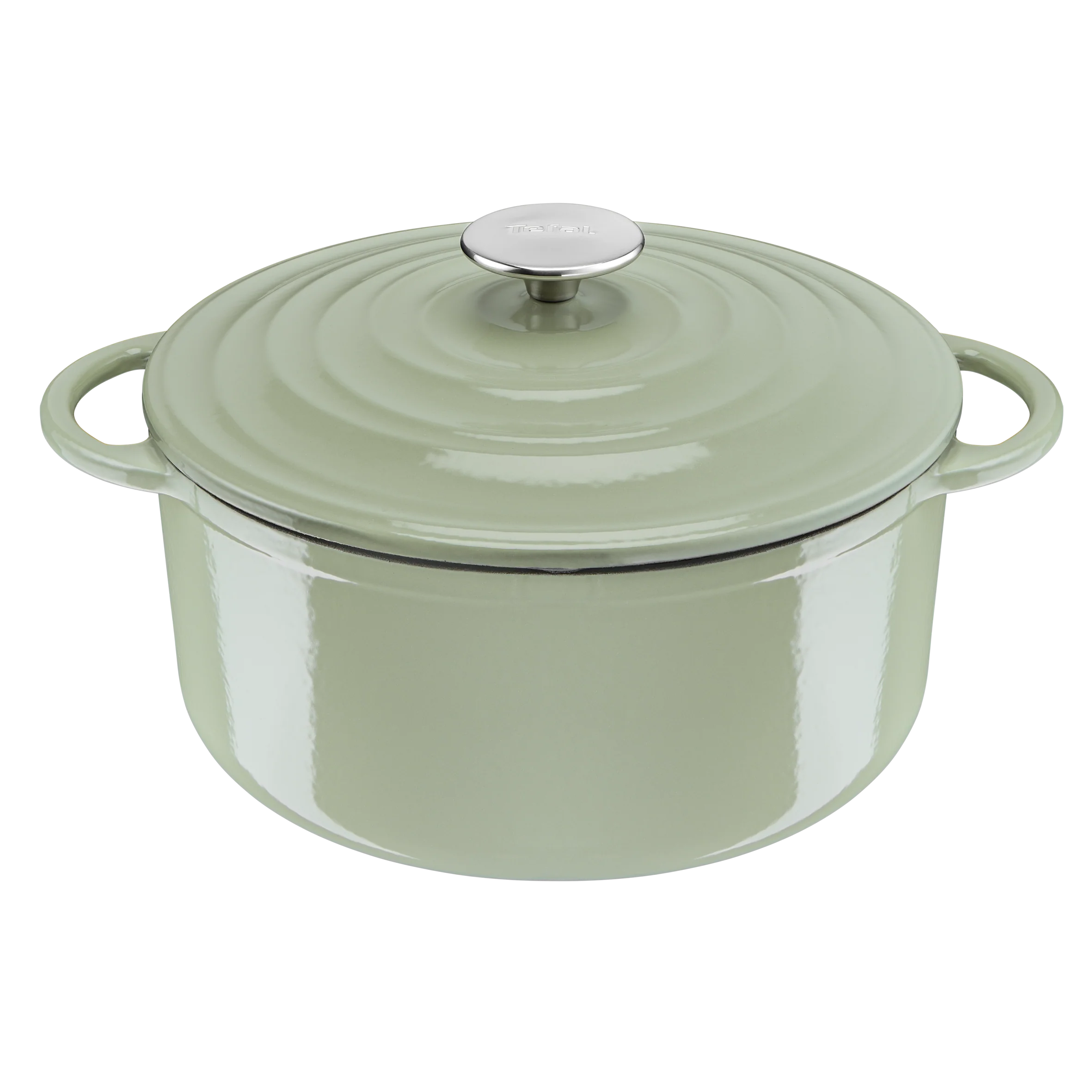 Tefal LOV Induction Cast Iron Green Lichen Stewpot 25cm/5L + Lid