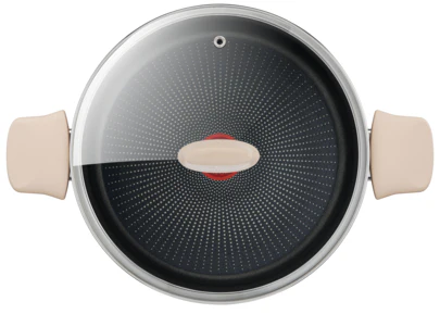 Tefal Eco Respect Induction Non-Stick Stewpot 24cm + Lid