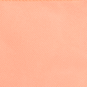 Pochette Lago de Los Andes S