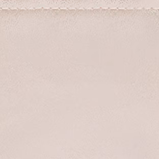 Pochette Diamond Head Nano