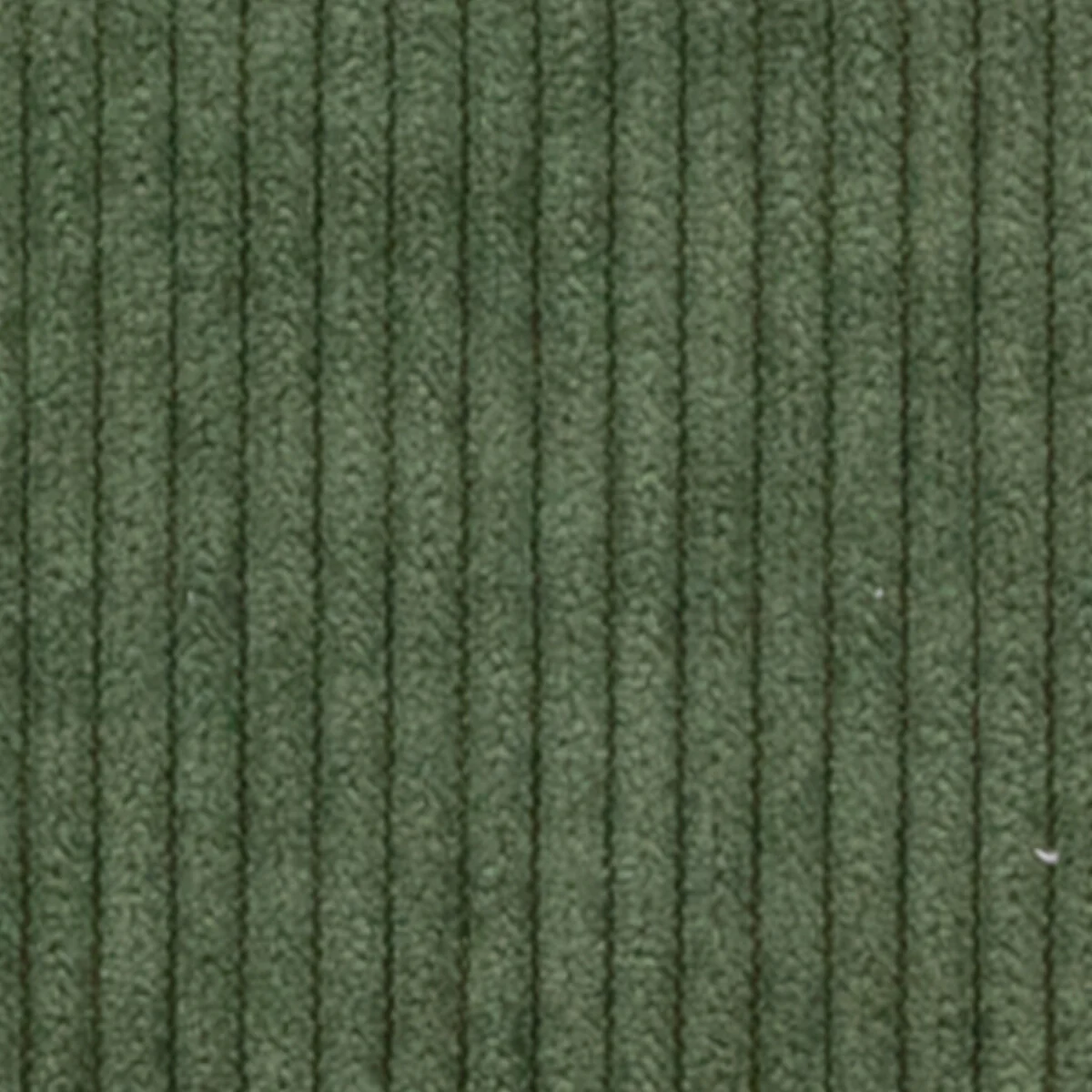 Pochette The Pearl S