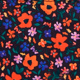 Pochette Indiana State Museum S