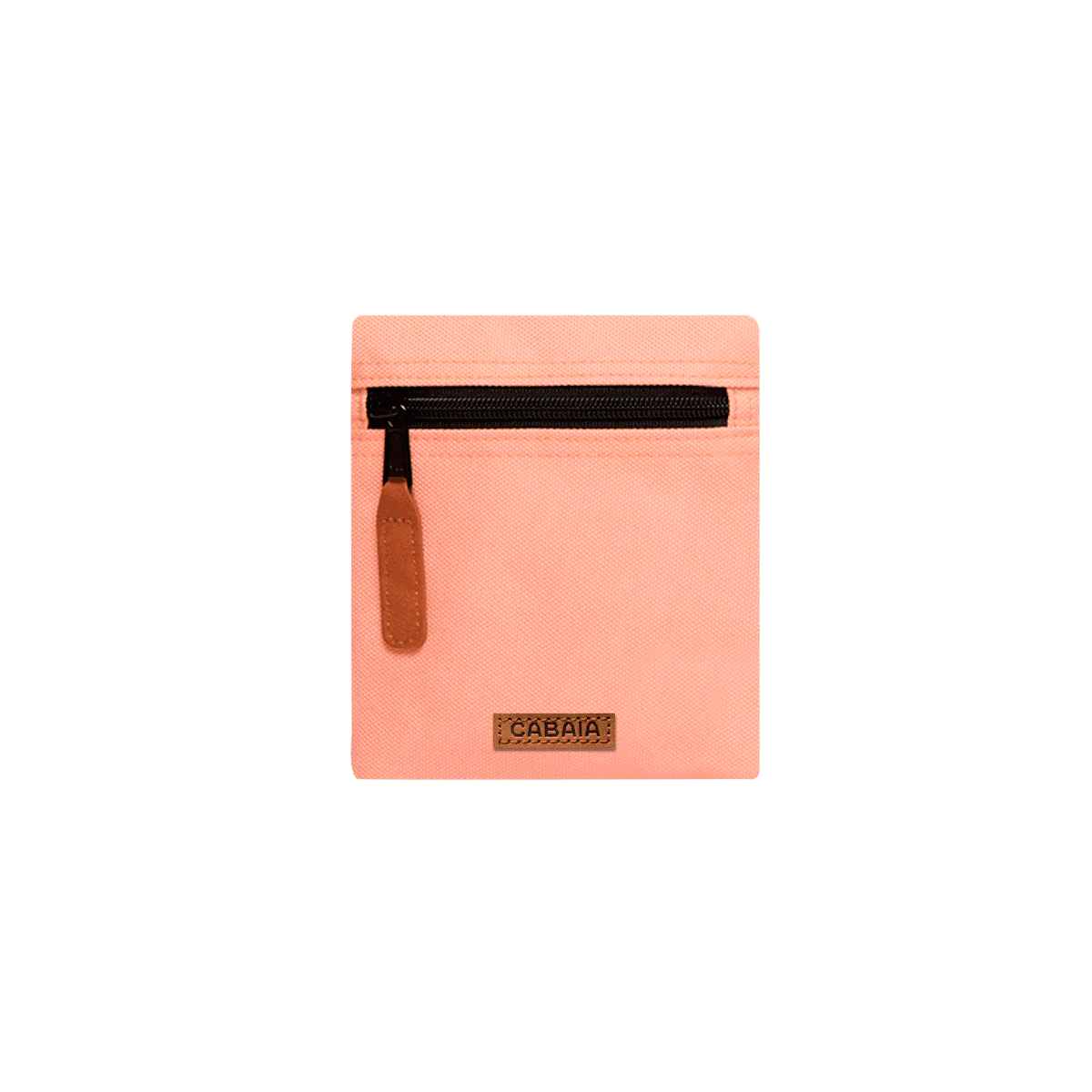 Pochette Lago de Los Andes S