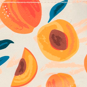 Pochette Parque del Este S