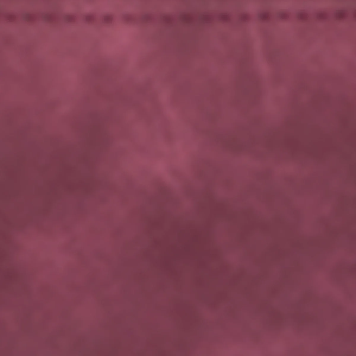 Pochette Agrasen Ki Baoli Nano