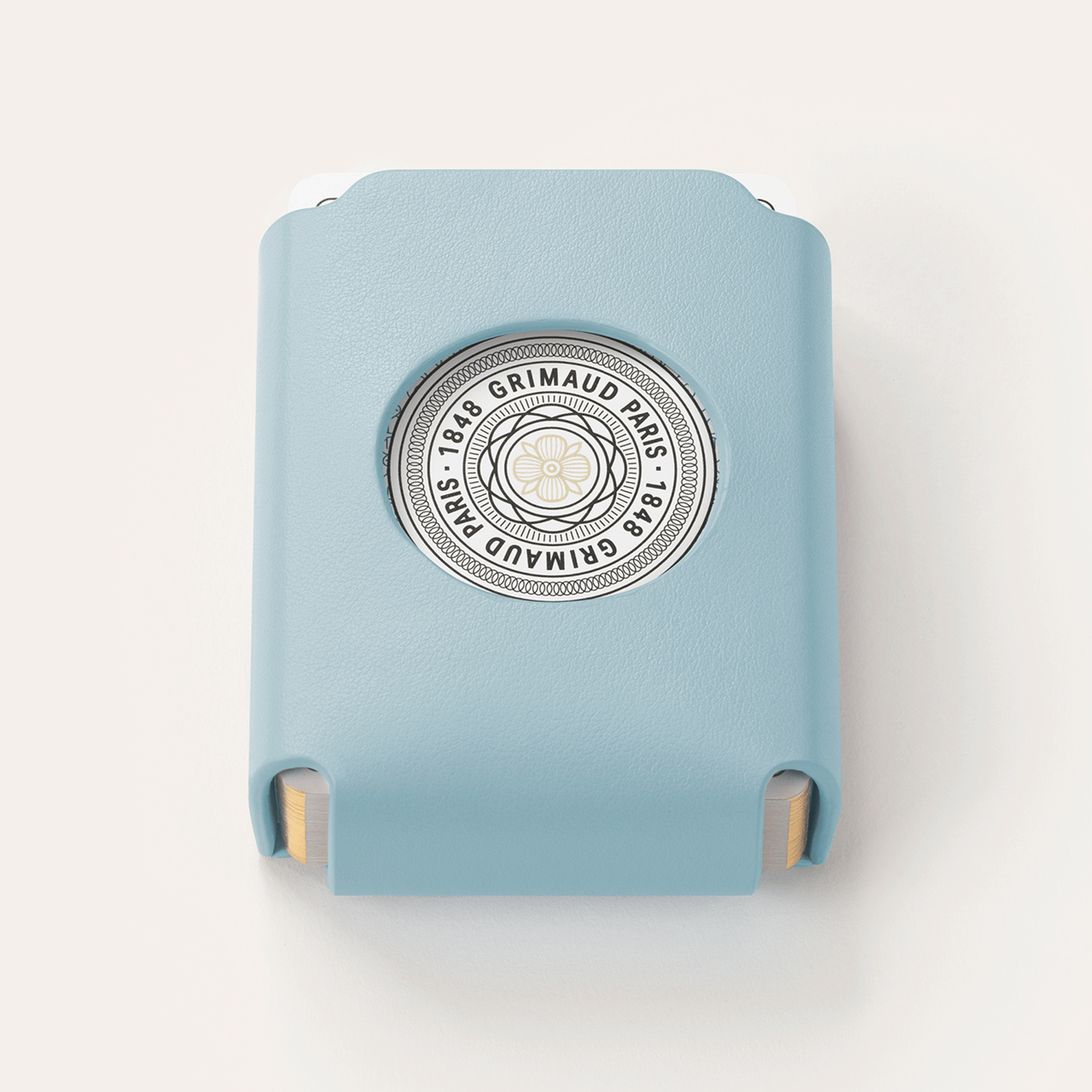 Dolphin Blue playing cards with apple leather case