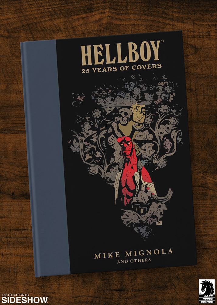 Hellboy: 25 Years of Covers