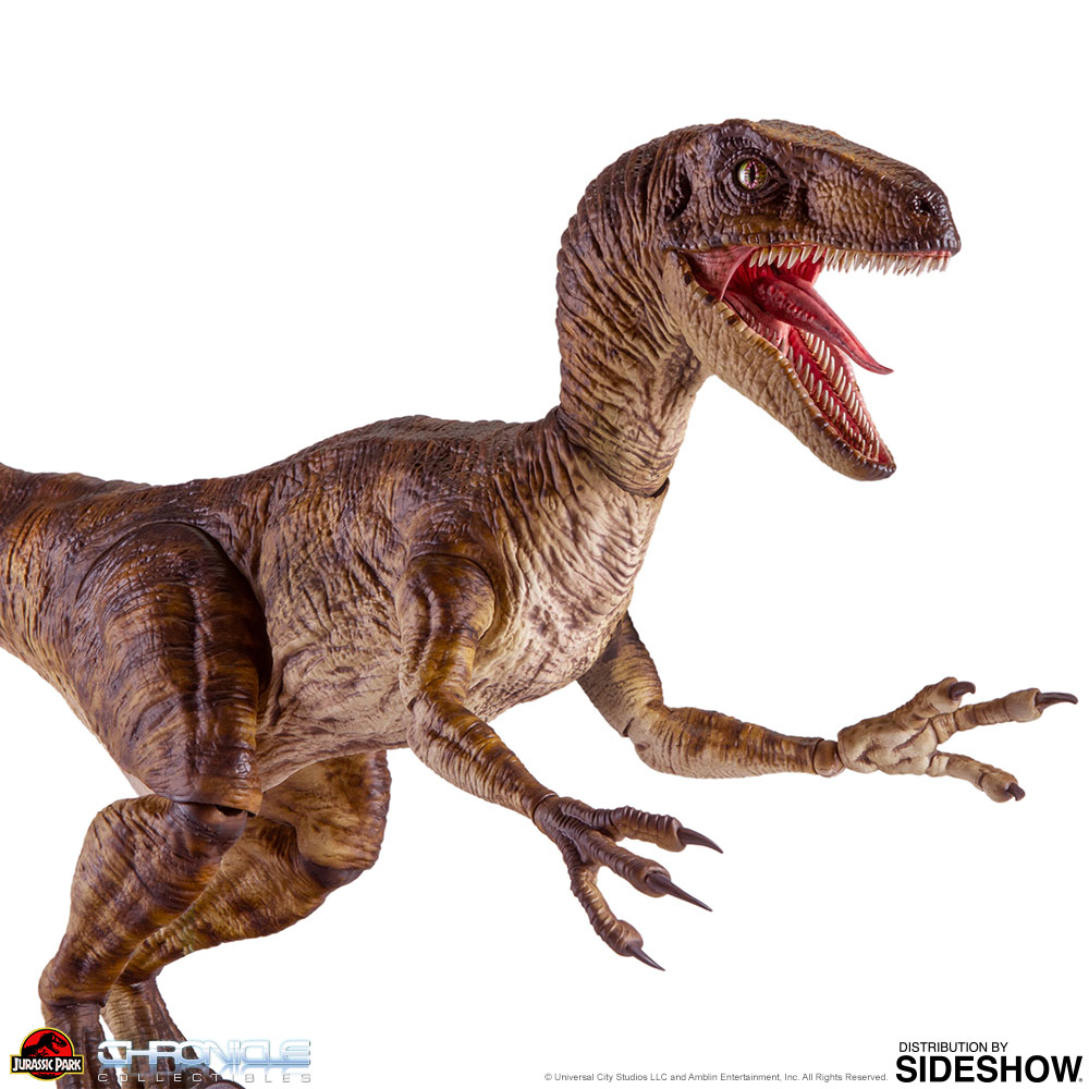 Velociraptor