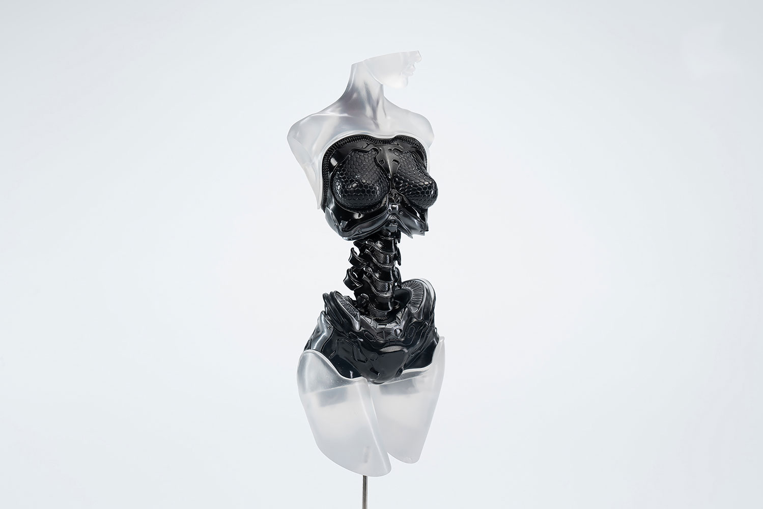 Android EL01 Torso Ver.2