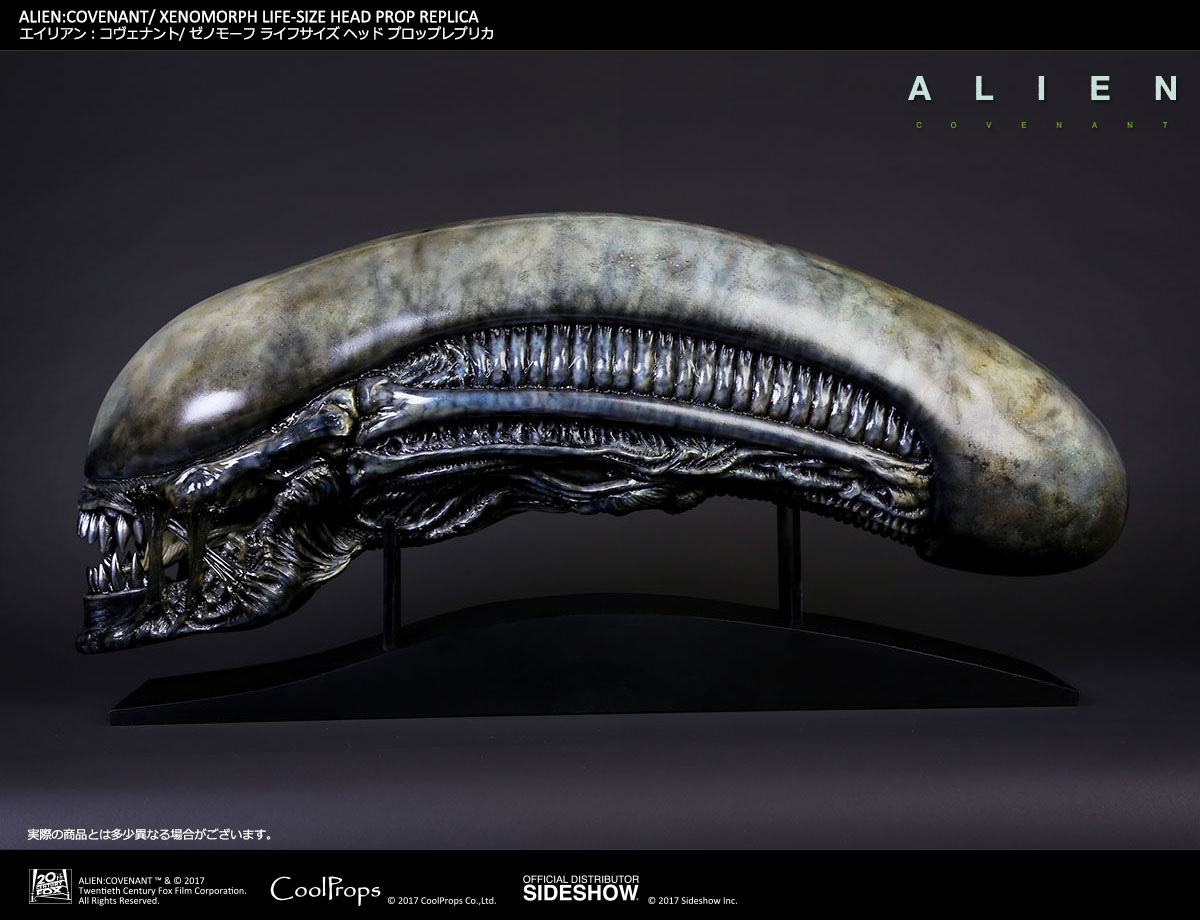 Xenomorph Life-Size Head