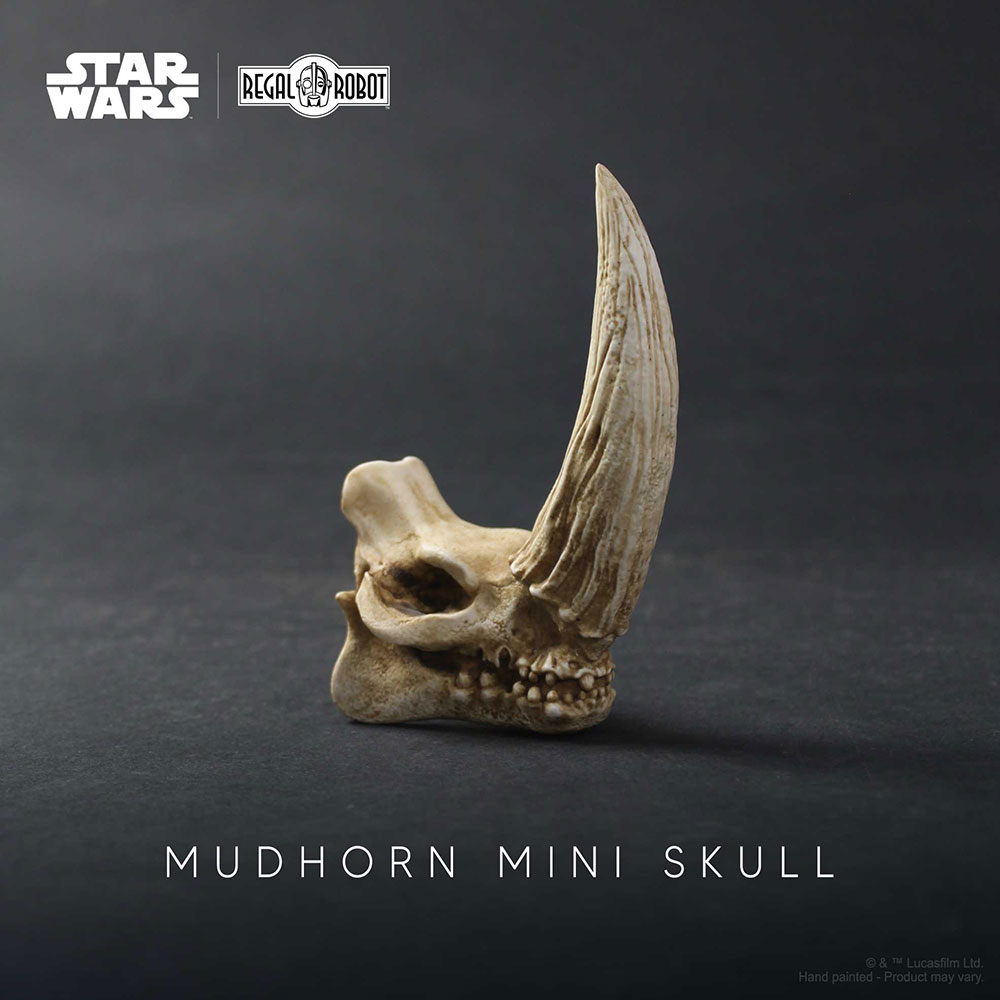 Mudhorn Skull