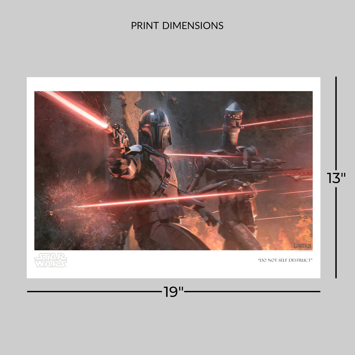 Do Not Self Destruct