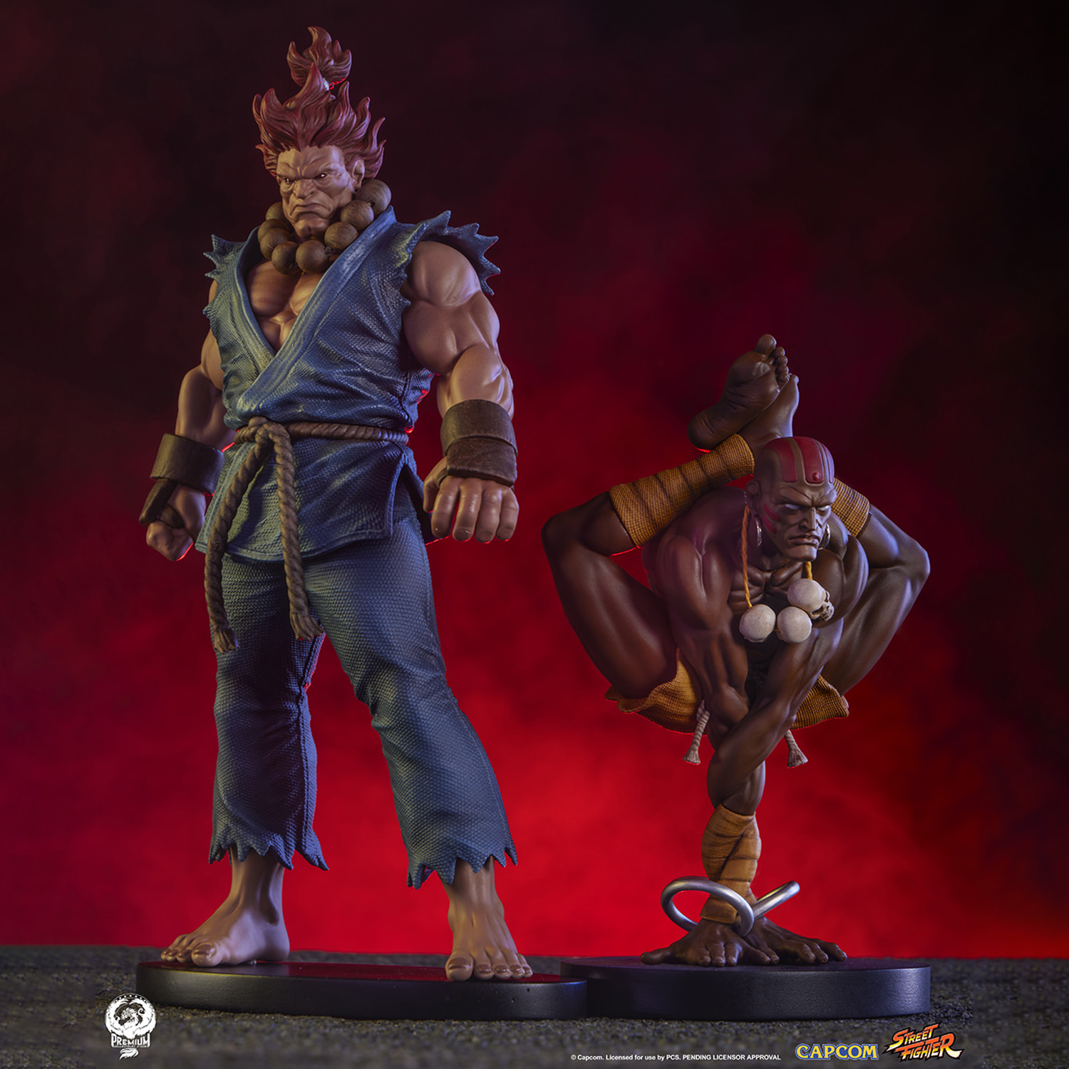 Akuma & Dhalsim