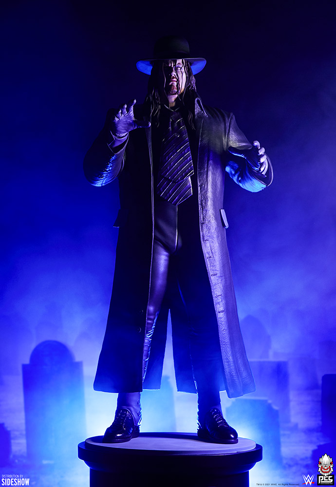 The Undertaker: Summer Slam '94