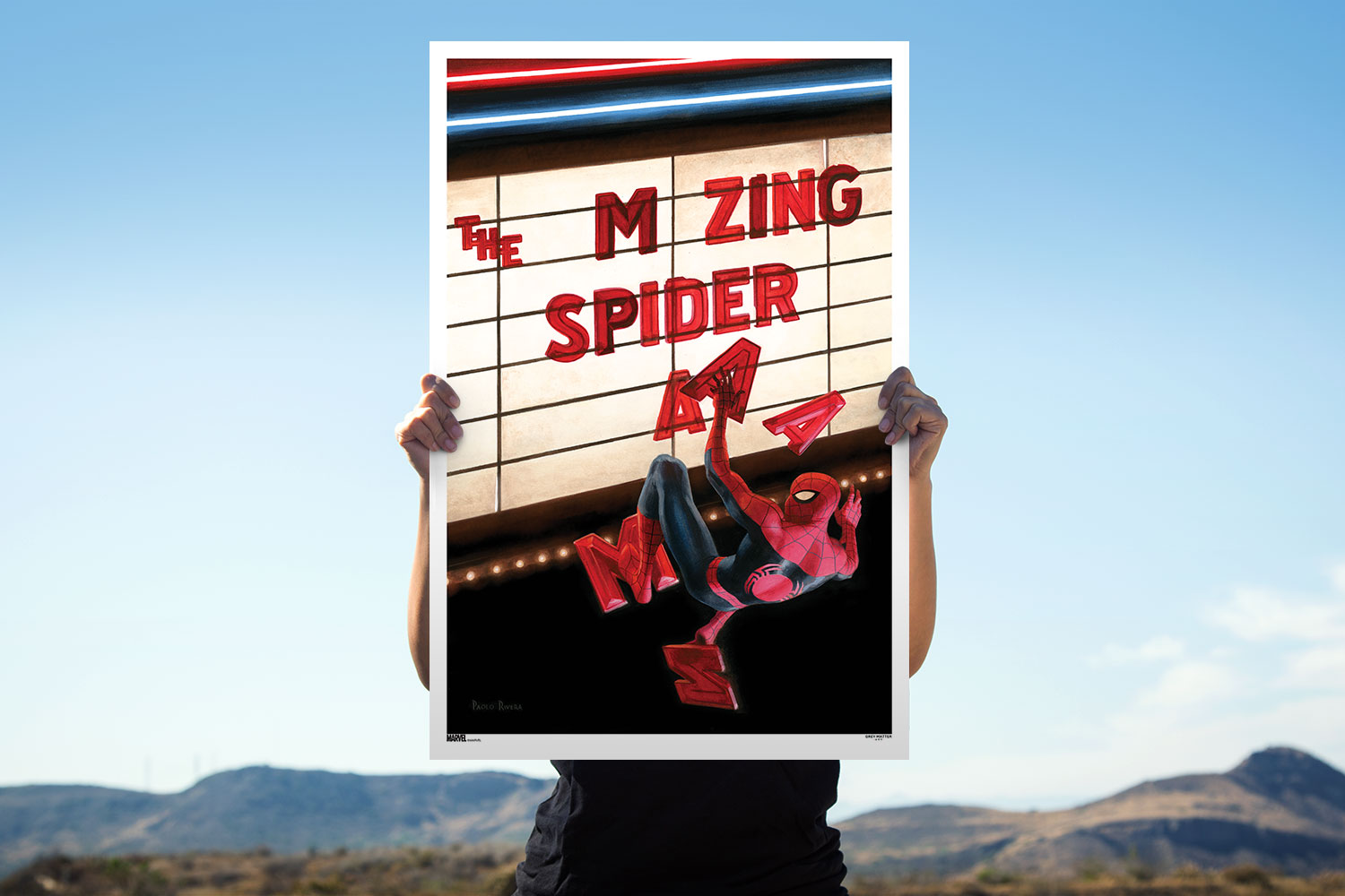 The Amazing Spider-Man #665 (Variant Edition)