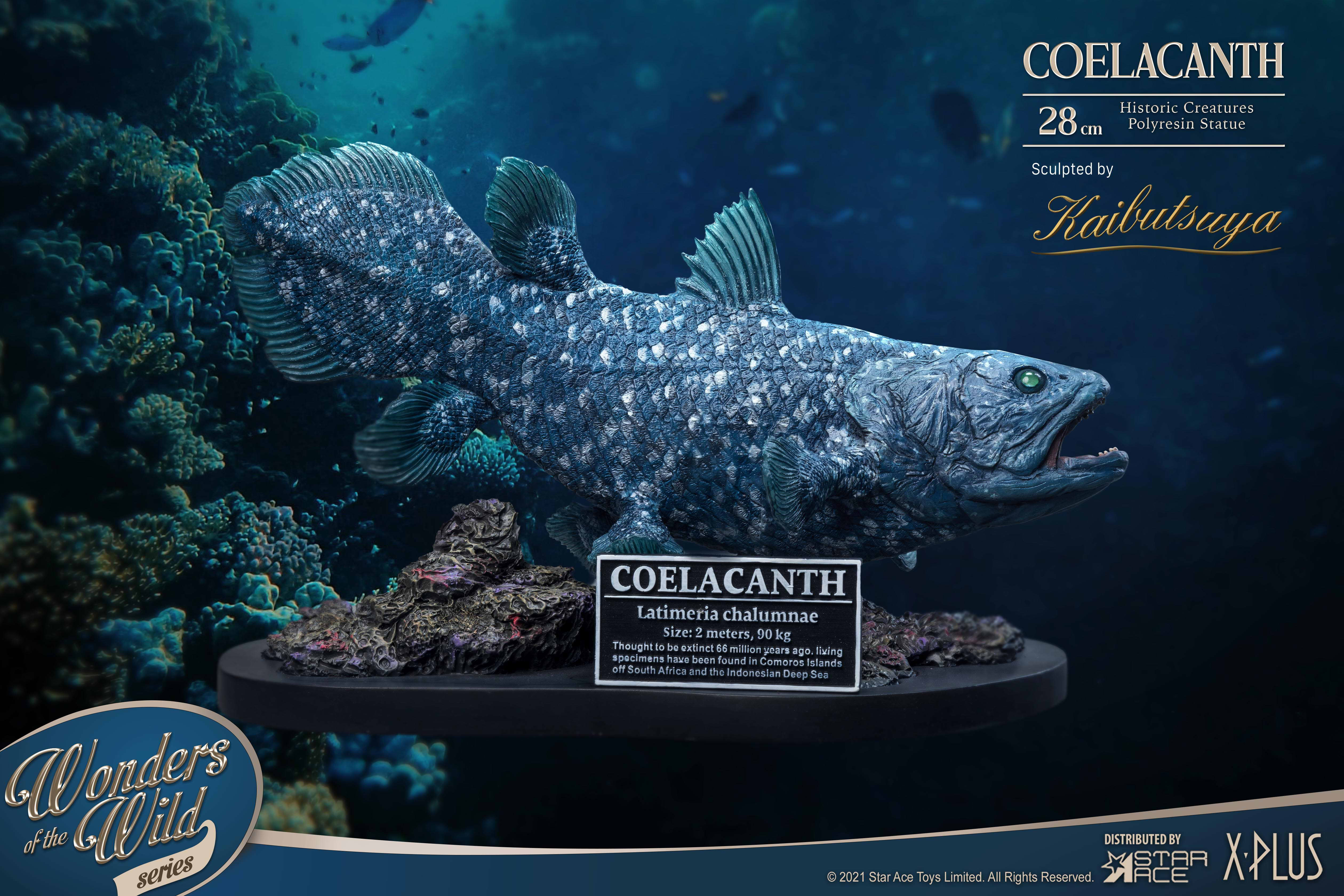 Coelacanth