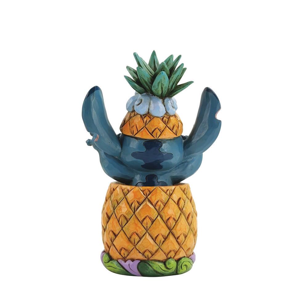Stitch in a Pineapple