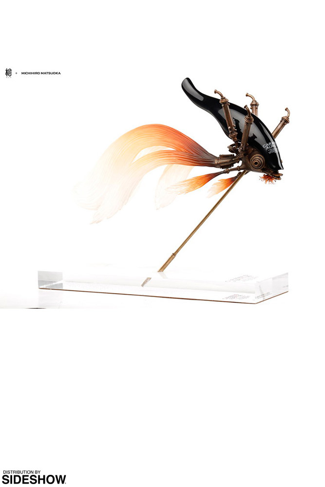 Carassius Auratus Large (Black)