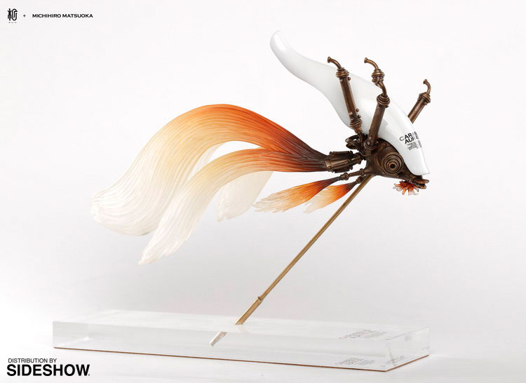 Carassius Auratus Large (White)