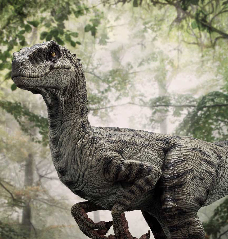 Velociraptor Female