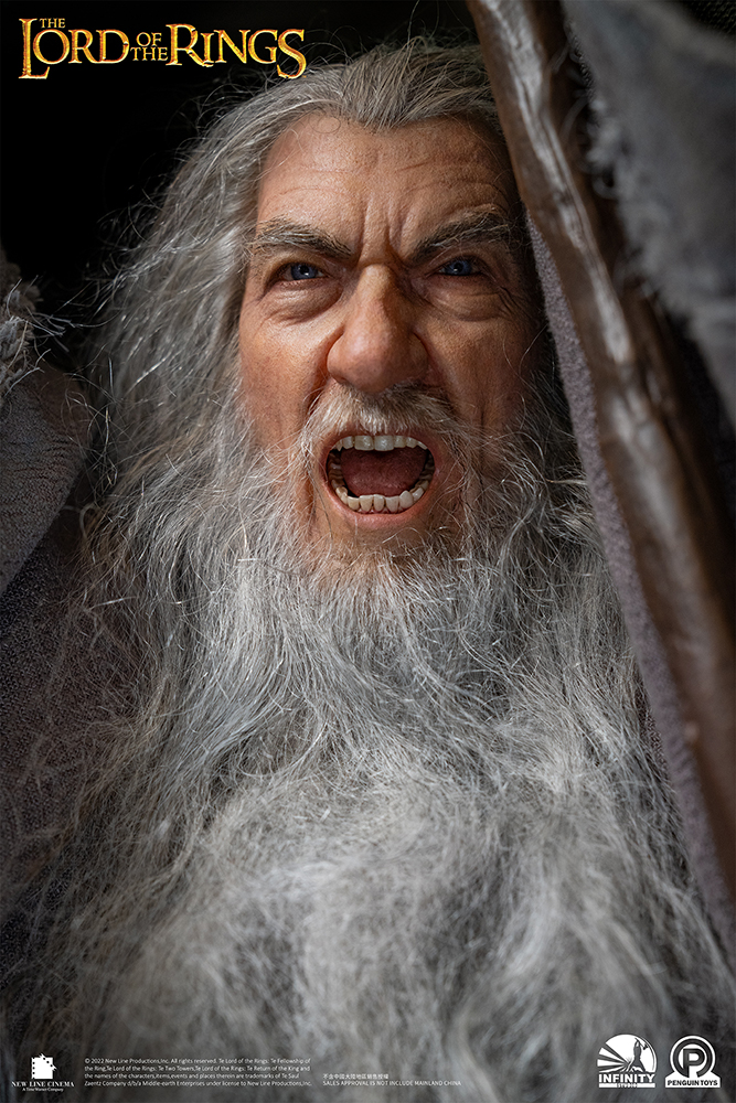 Gandalf the Grey (Ultimate Edition)