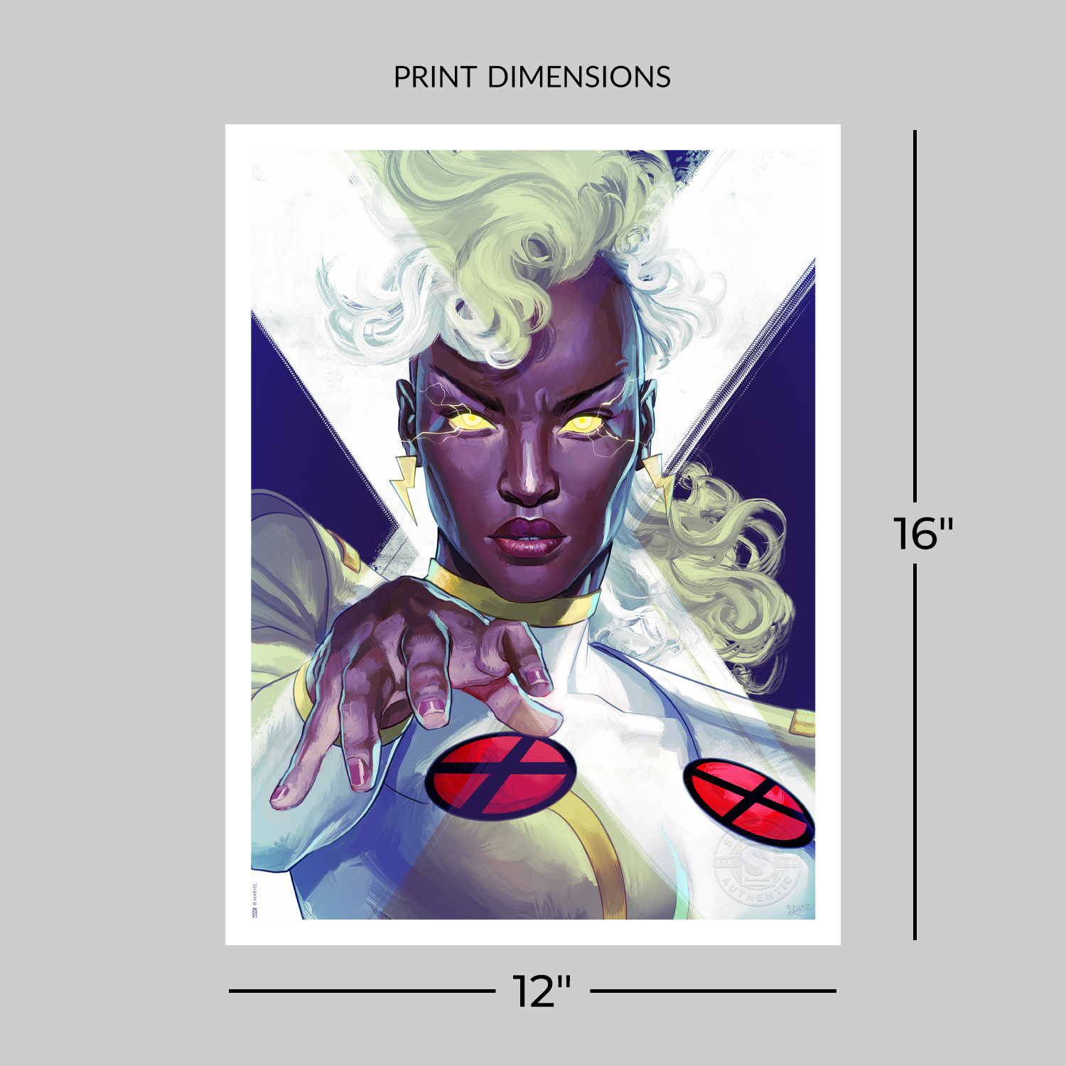 X-Men Portraits: Storm