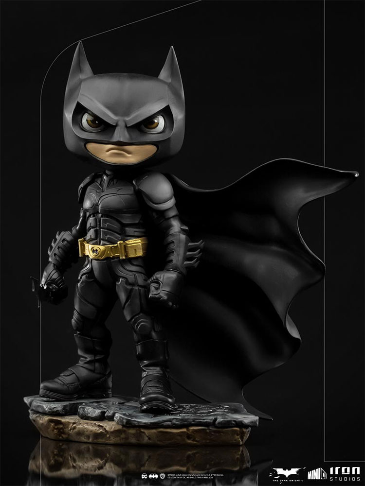 Batman (The Dark Knight) Mini Co.