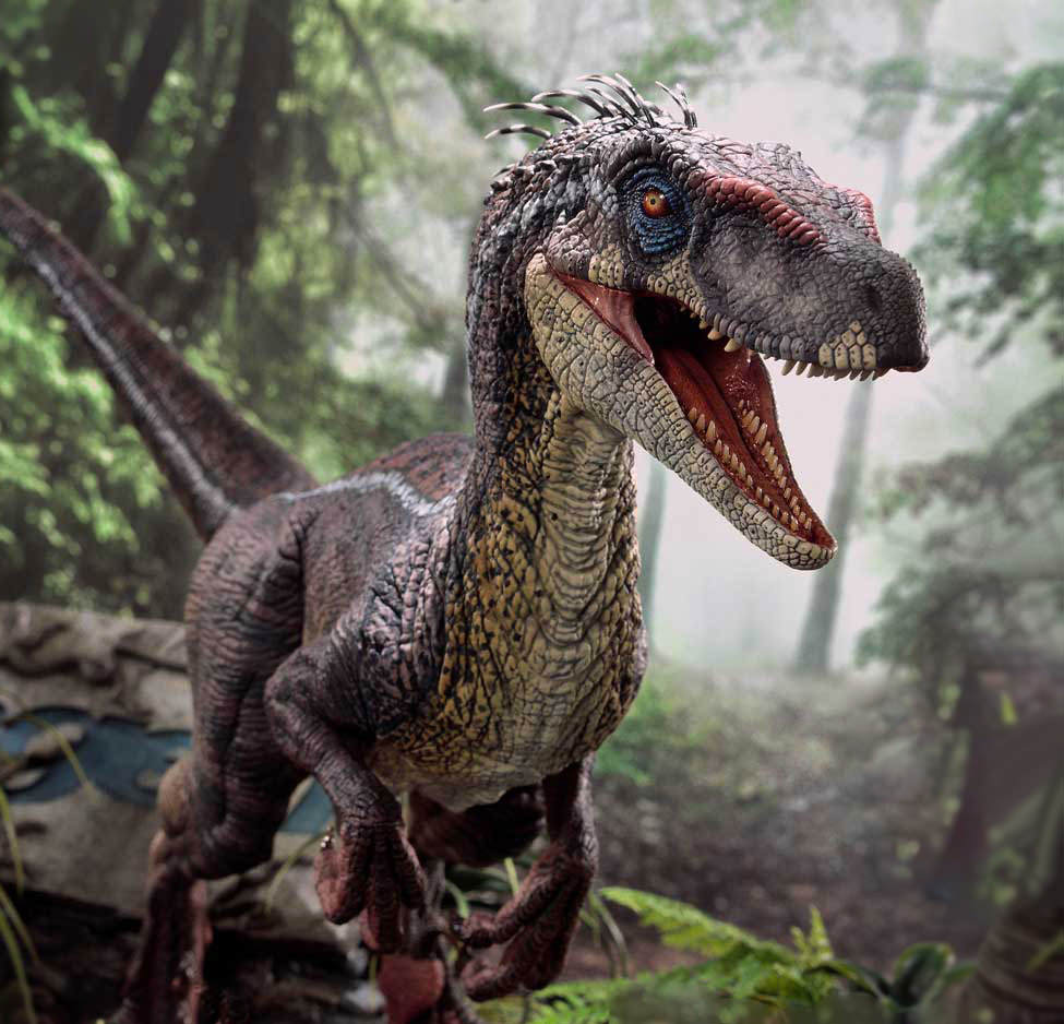 Velociraptor Male