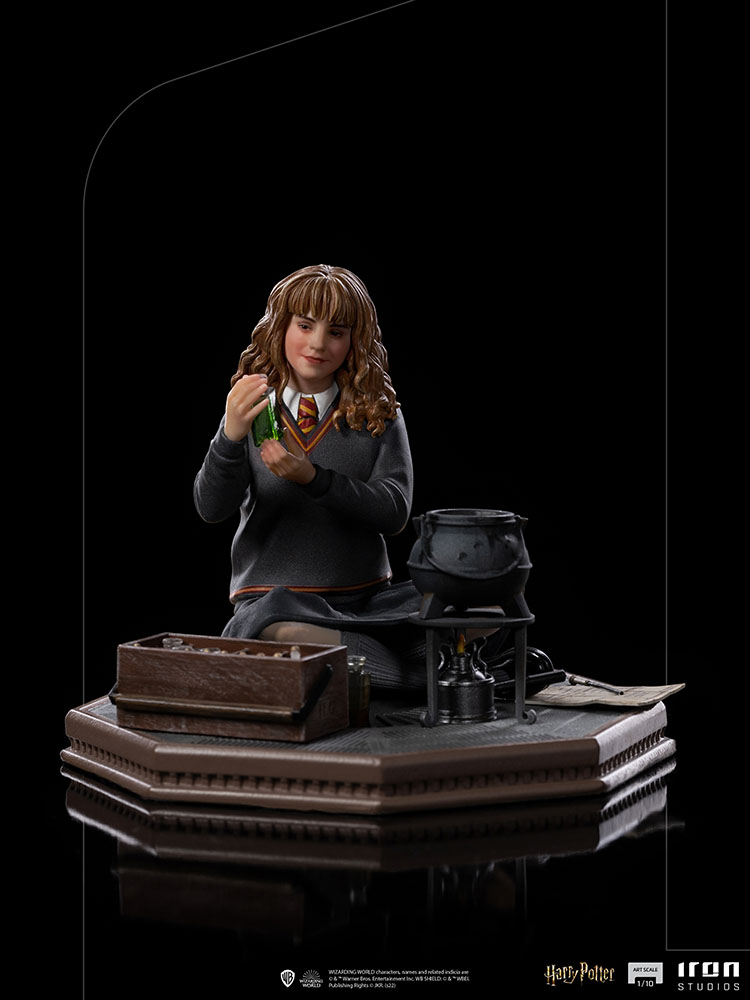 Hermione Granger Polyjuice