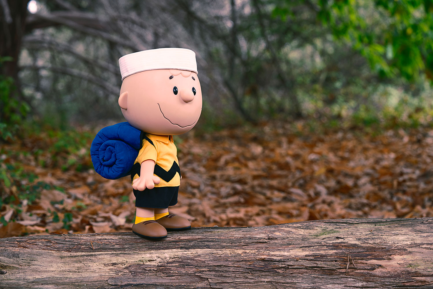 Charlie Brown
