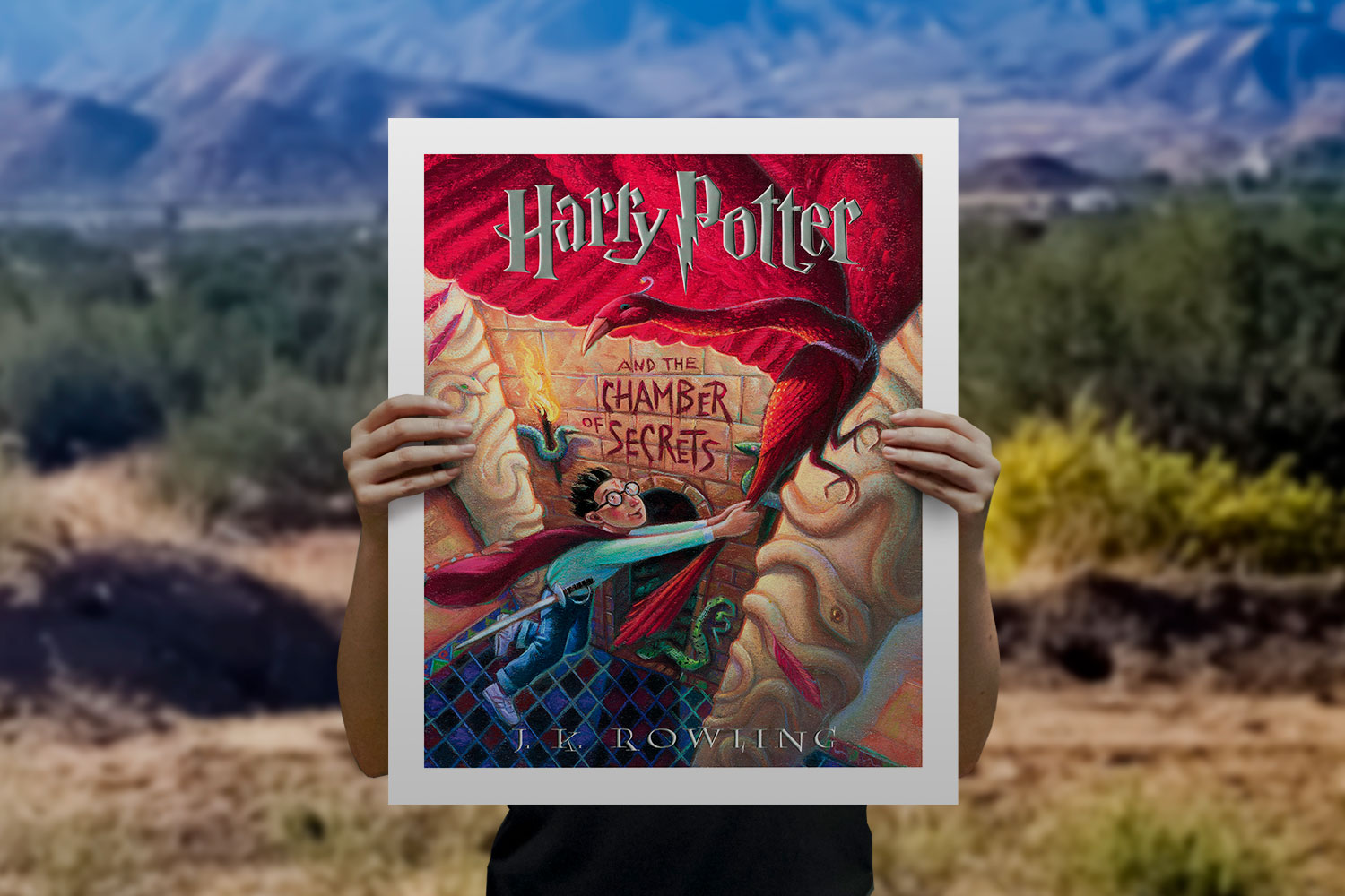 Harry Potter and the Chamber of Secrets