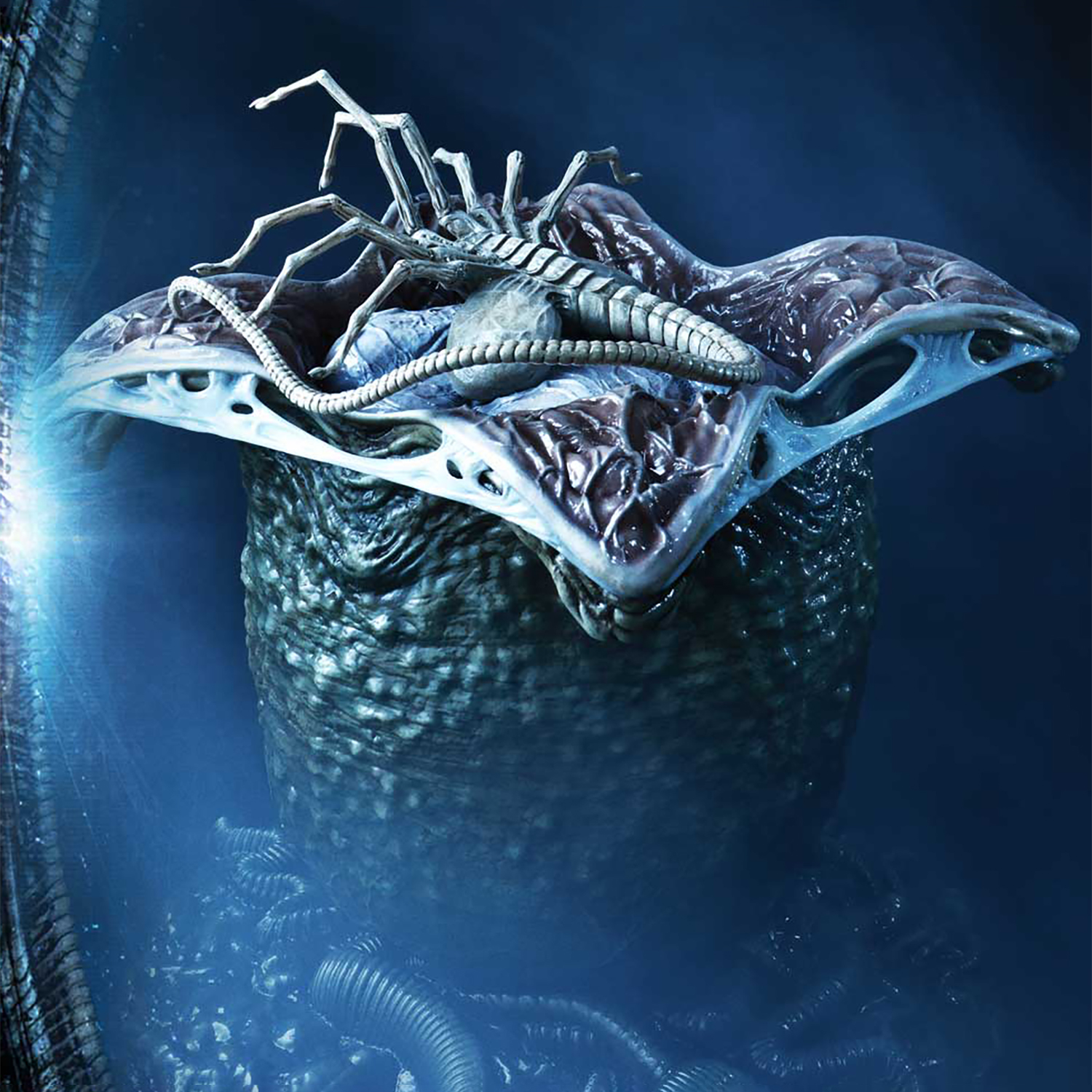 Xenomorph Egg (Open Version)