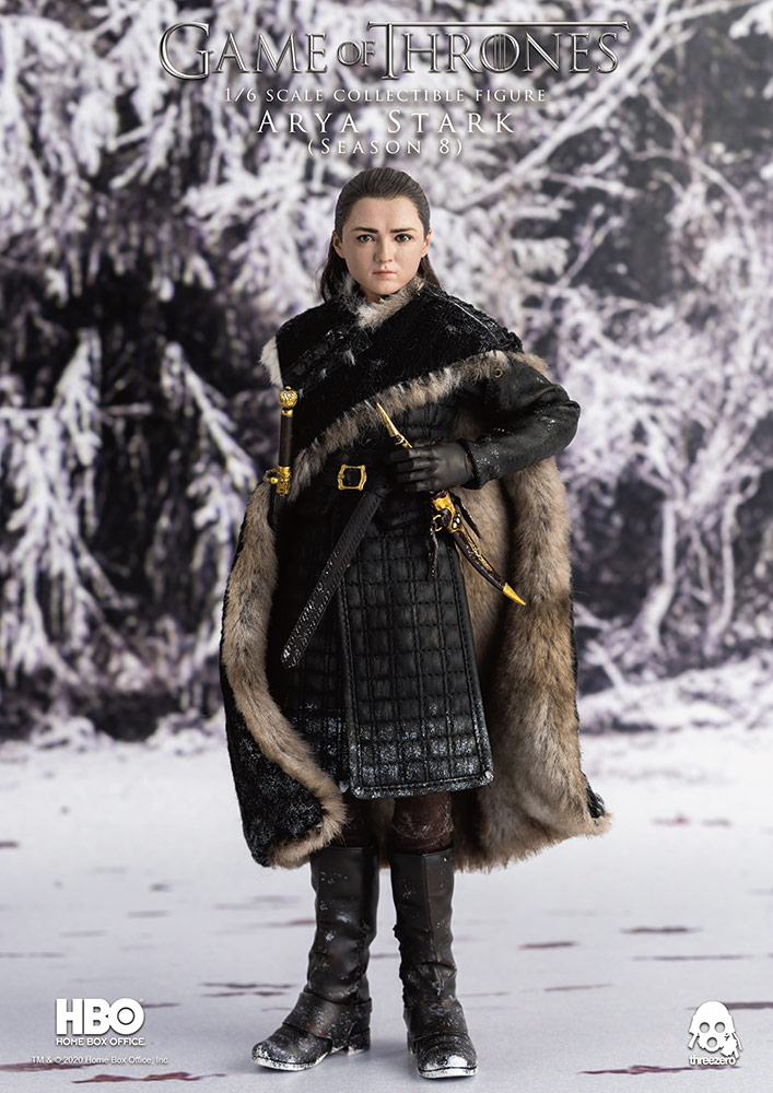 Arya Stark (Season 8)