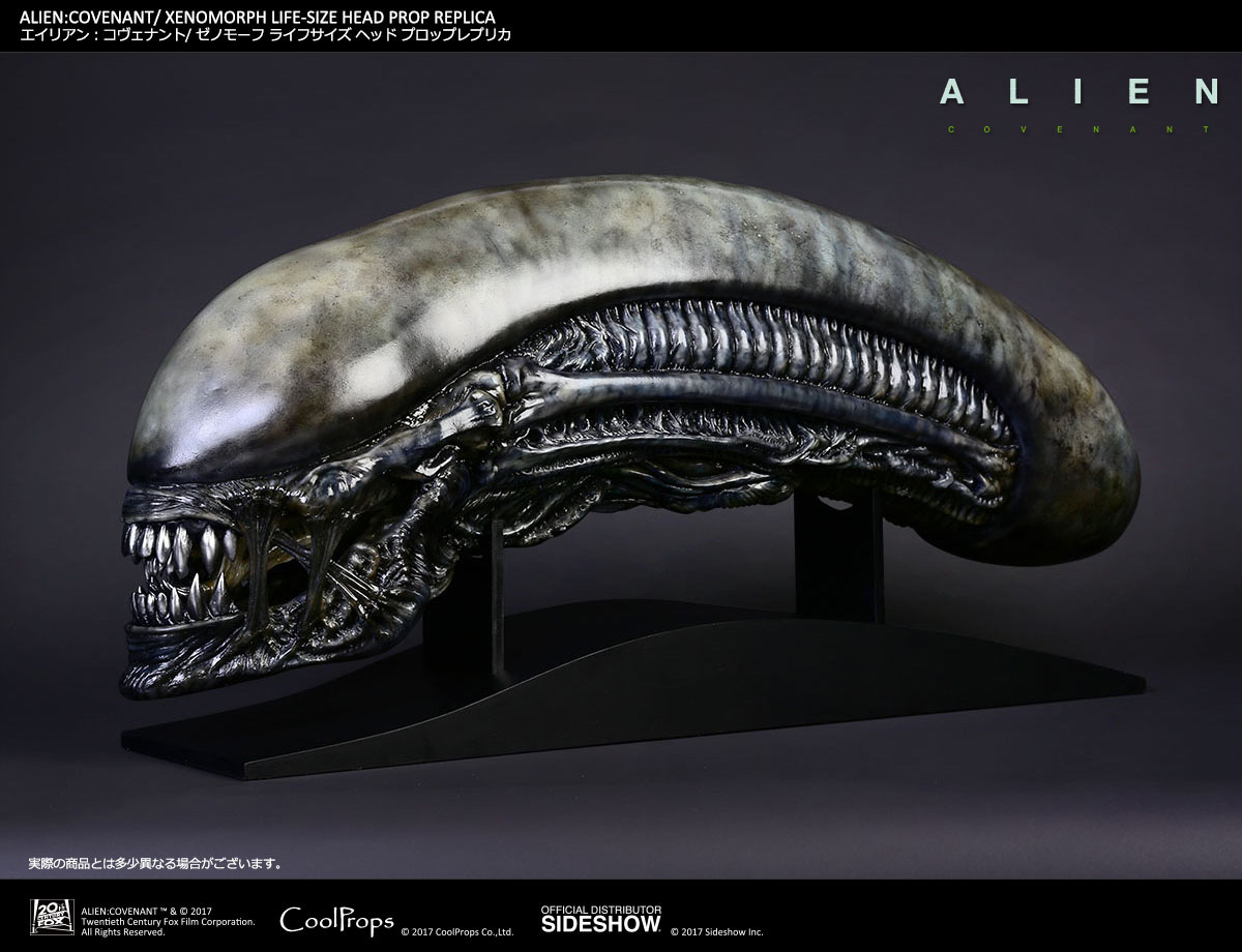 Xenomorph Life-Size Head