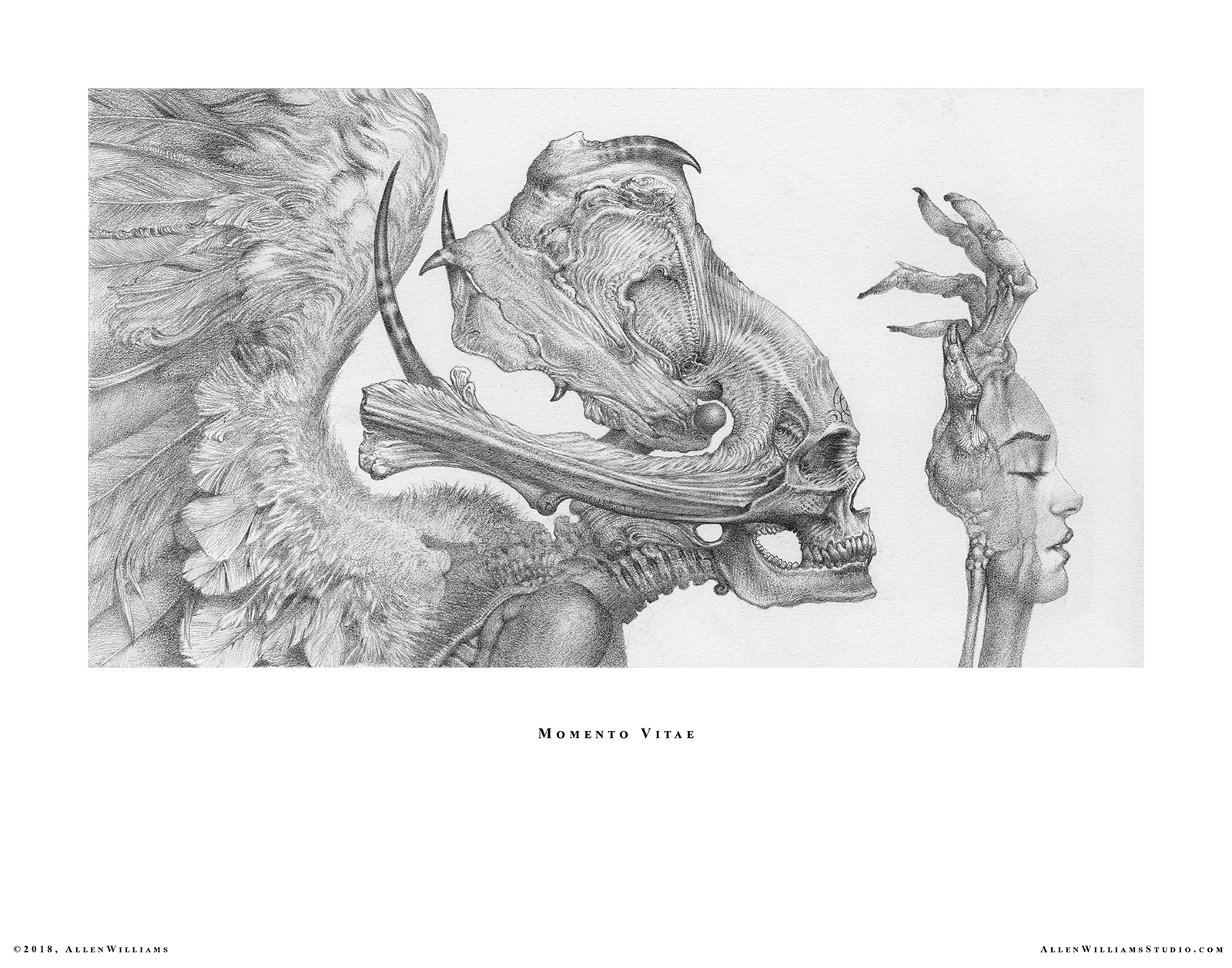 Momento Vitae