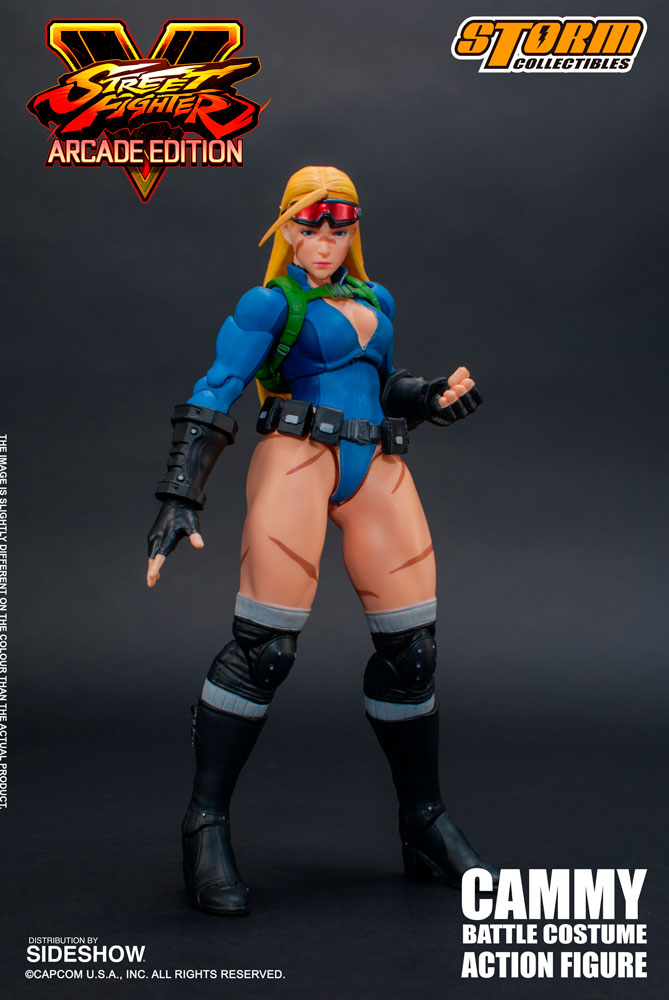Cammy (Battle Costume)