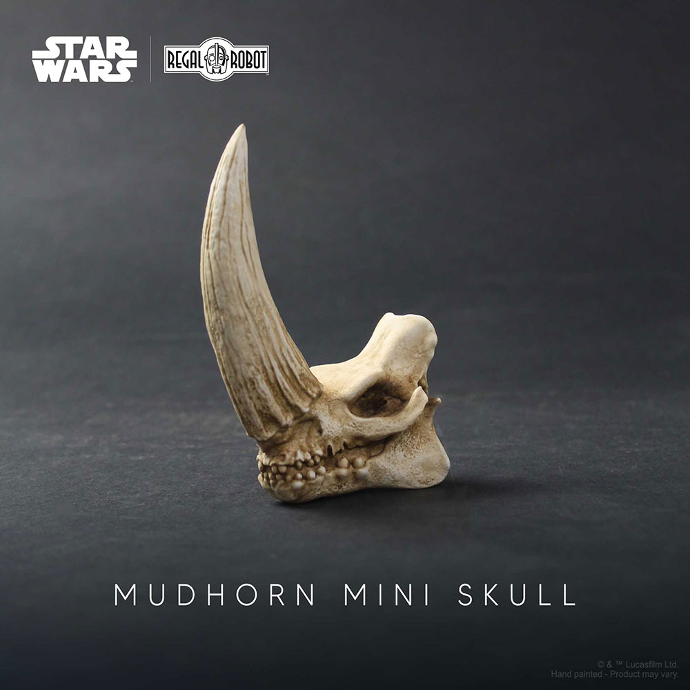 Mudhorn Skull