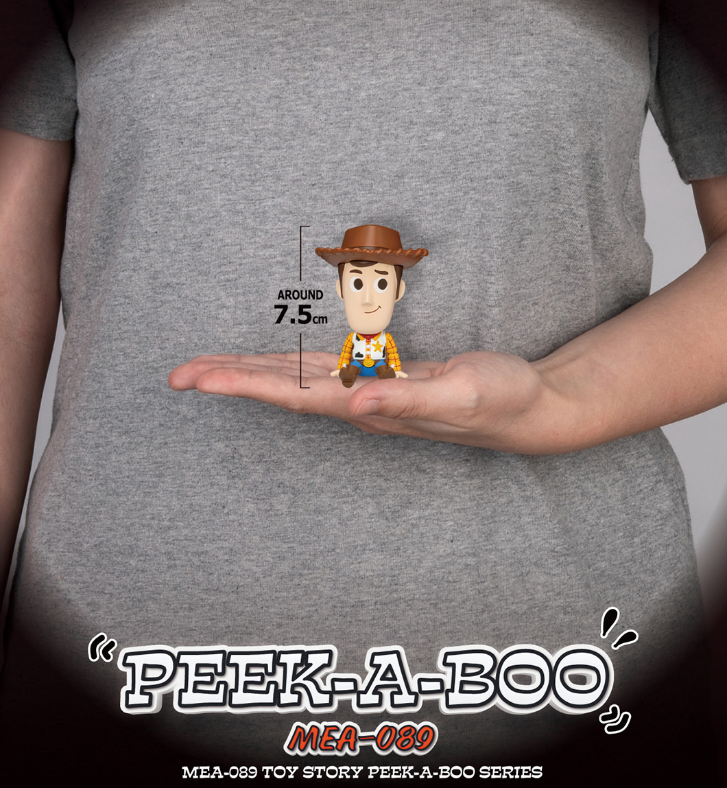 Toy Story Hide-and-Seek