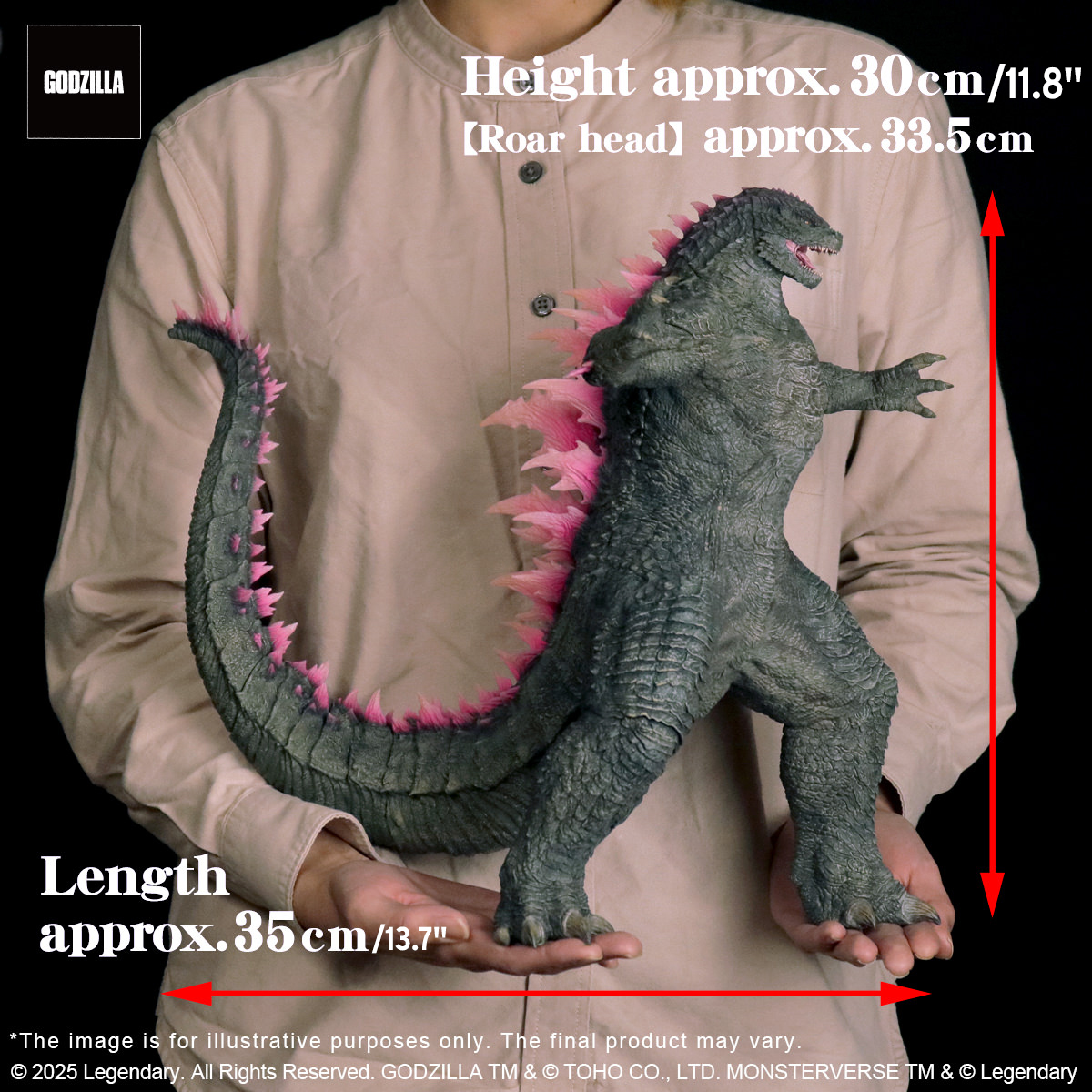 Godzilla (2024) Evolved Version