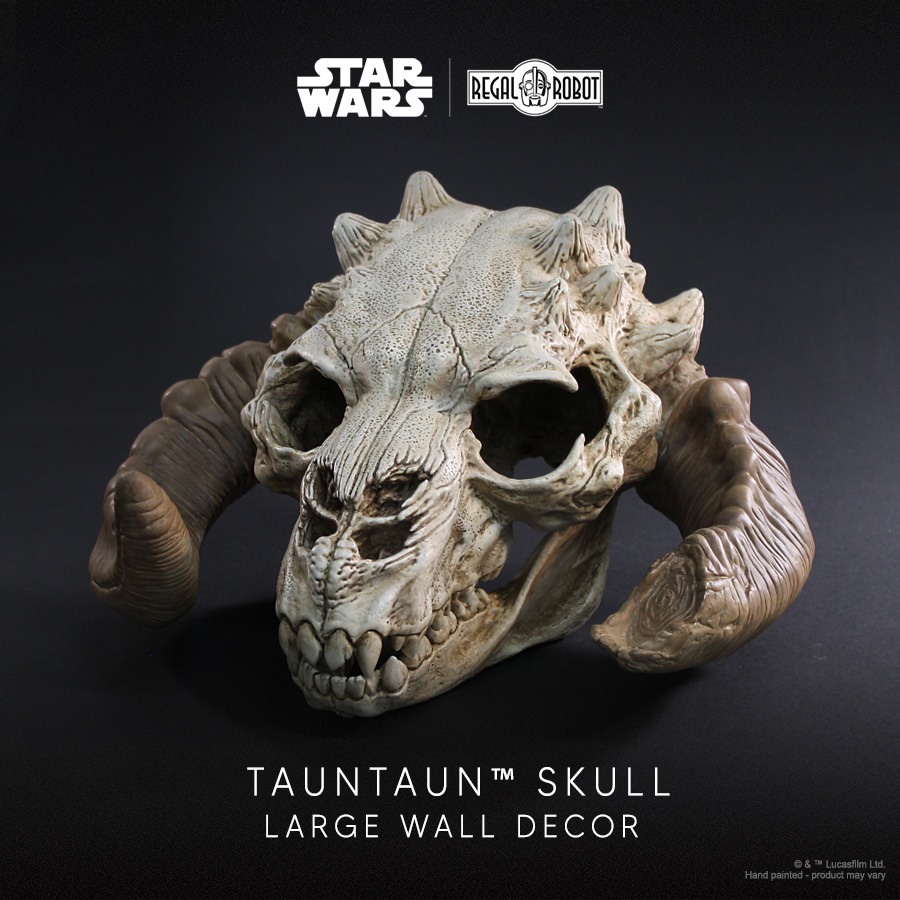 Tauntaun Skull