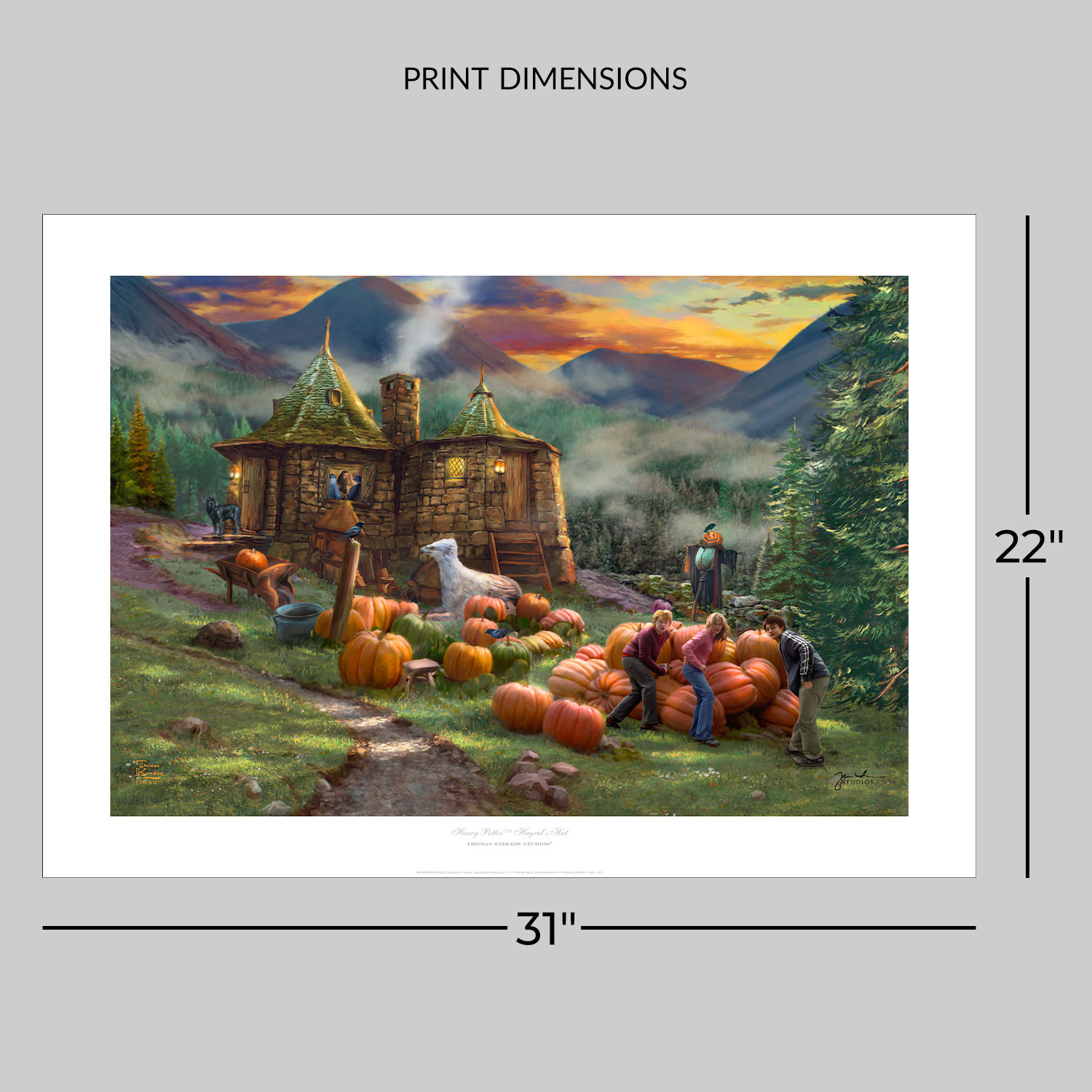 Harry Potter™ Hagrid's Hut