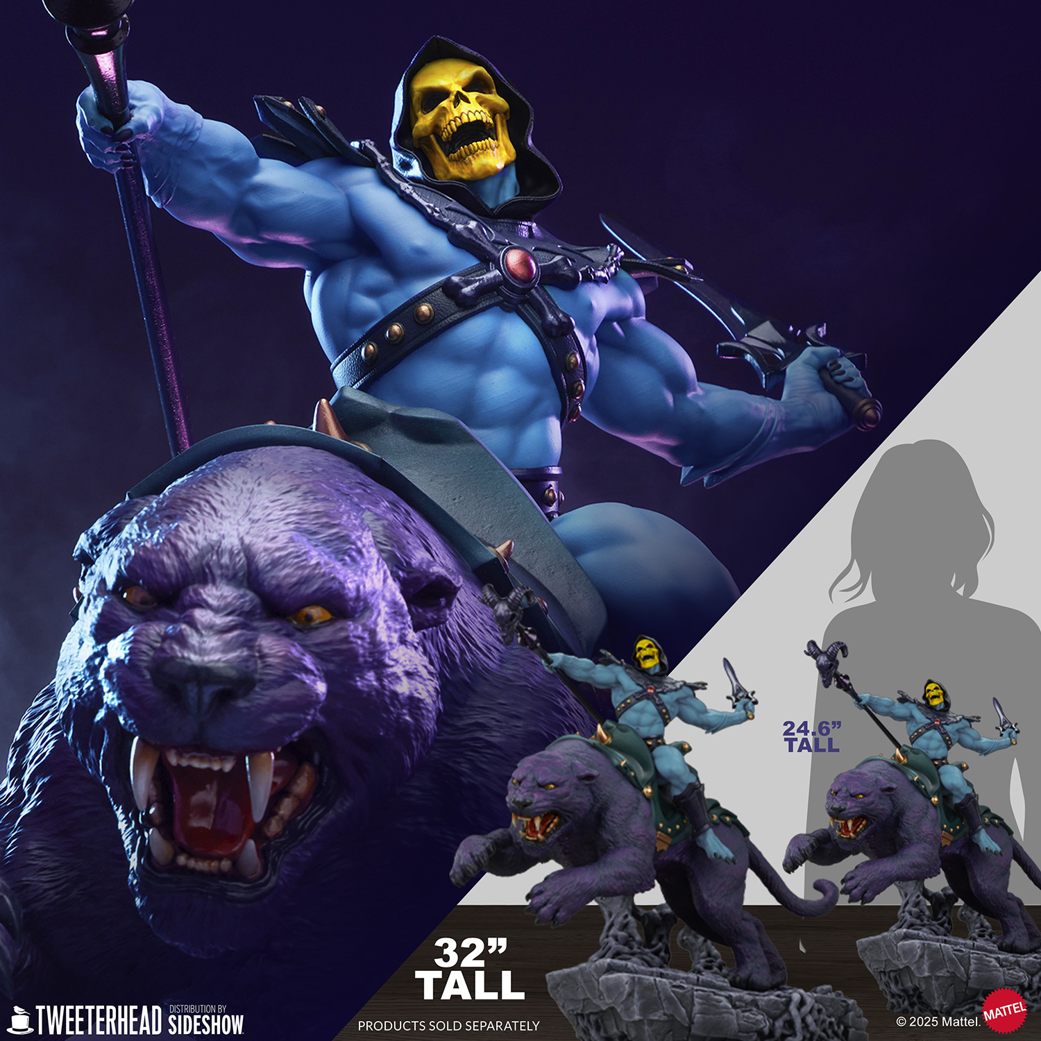 Skeletor™ & Panthor™