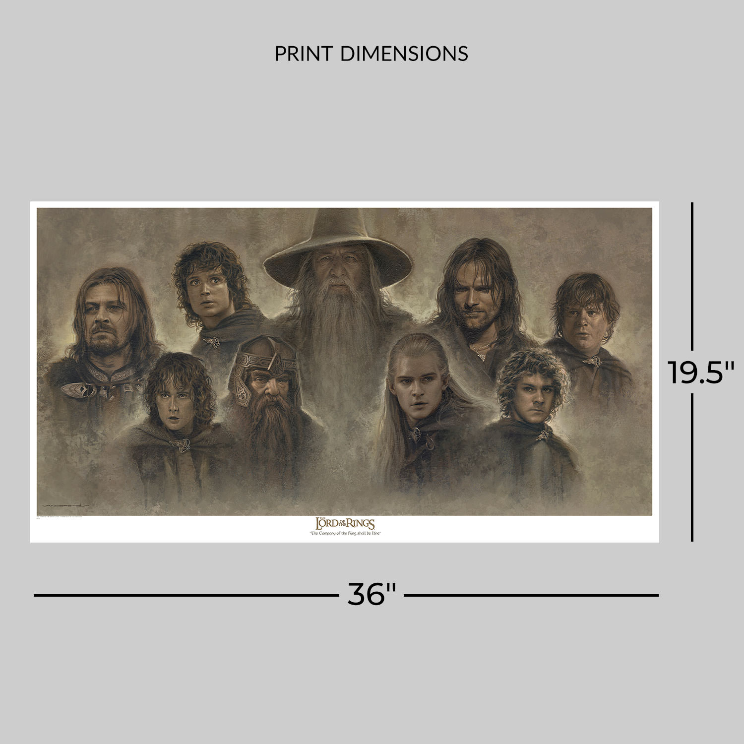 Lord of the Rings: The Company of the Ring Shall be Nine