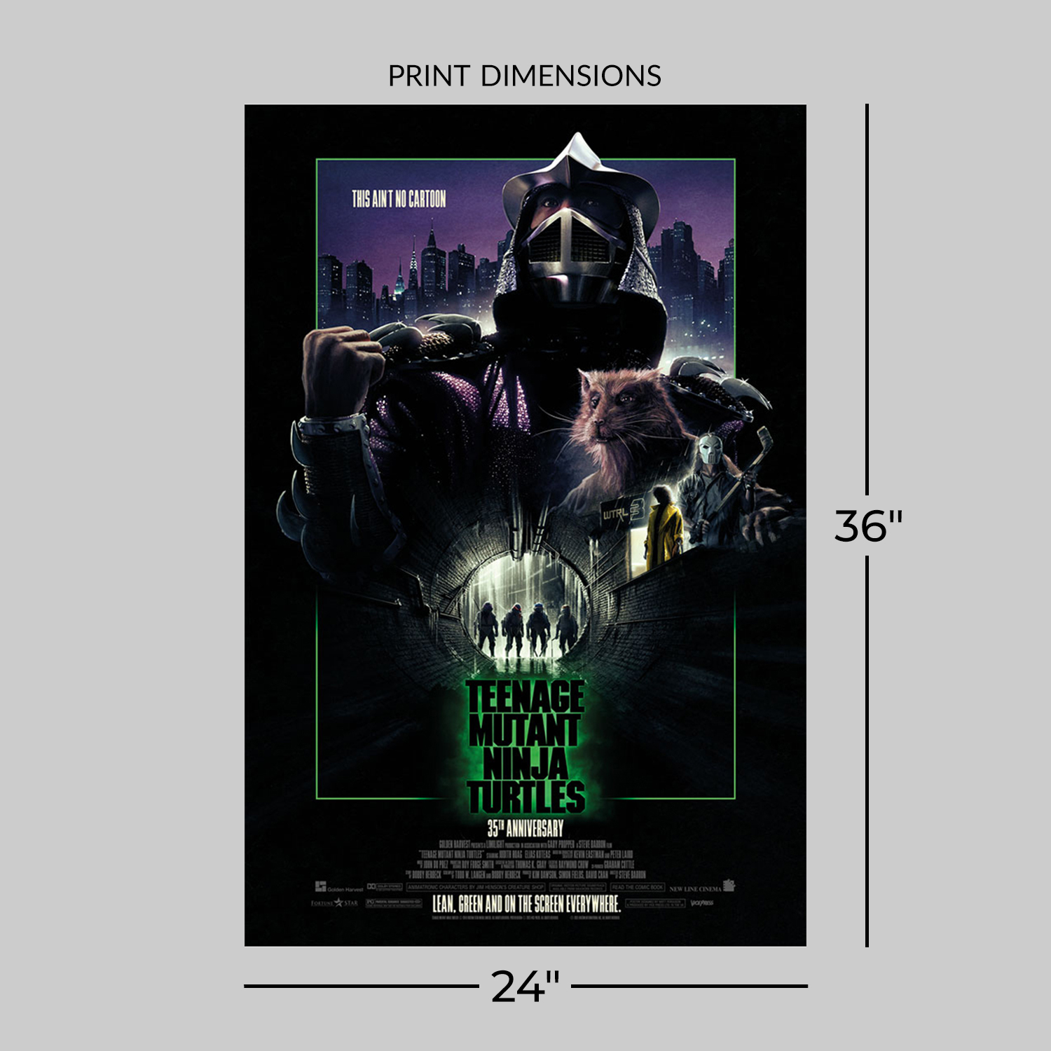 Teenage Mutant Ninja Turtles