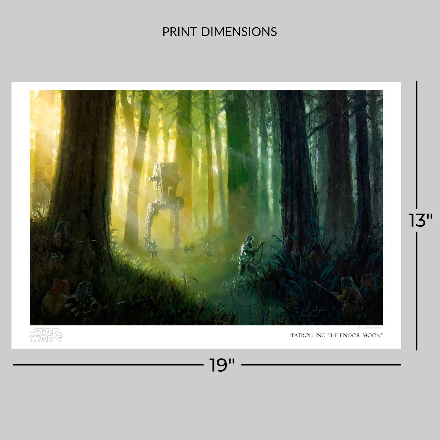 Patrolling the Endor Moon